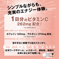 【エナジードリンク】富永貿易 サバイバー エナジードリンク　250ml 1箱（30缶入）