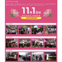 菊正宗 キクマサピン パック 900ml 1本 日本酒