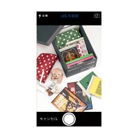 キングジム　ニュートラルボックスXL　グレー　4058クレ　（直送品）