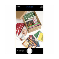 キングジム　ニュートラルボックスXL　白　4058シロ　（直送品）