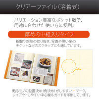 プラス　デジャヴクリアーファイル24P　FC124DP　TOR　（直送品）