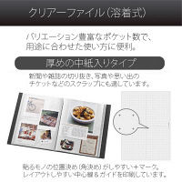 プラス　デジャヴクリアーファイル96P　FC196DP　CHG　（直送品）