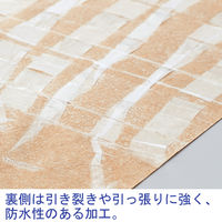 ペーパークロス 幅1200mm×長さ30m巻 1巻 ダイトス ハピラ