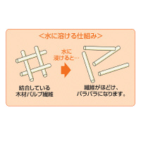 サンワサプライ 水に溶ける用紙 210×297mm JP-MTSECA4 1冊（10枚入）（直送品）