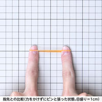 共和「現場のチカラ」 輪ゴム ラバーバンド #16 1箱（30g）  オリジナル