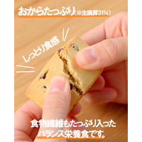 おからだから チョコチップ 1セット（1個（2袋入）×10） 栄養調整食品 グリコ