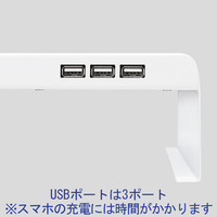 サンワサプライ　電源タップ+USBポート付き机上ラック　奥行200mm　白　MR-LC202W