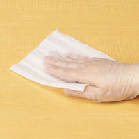 【特価品】オオサキメディカル アスクル環境除菌クロス ワイド詰替用 250枚入 1袋(250枚入) オリジナル