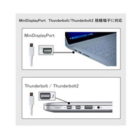 【アウトレット】変換アダプタminiDisplayport[オス]-VGA[メス]0.15m/ホワイトVV-MDPVGA-W-DO【終売品】