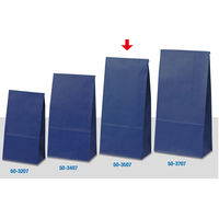 ササガワ ギフトバッグ 角底袋 マリン 50-3507 1袋(100枚入)