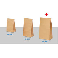 ササガワ ギフトバッグ 角底袋 未晒 超特大 50-3801 1袋(100枚入)