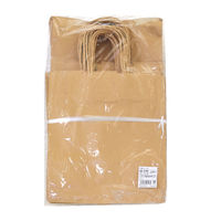 ササガワ 手提げバッグ 未晒 小 50-5101 1袋(50枚入)