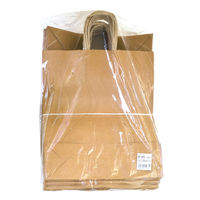 ササガワ 手提げバッグ 未晒 大 50-5301 1袋(50枚入)