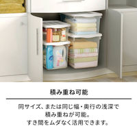 収納ボックス プロフィックス フリーボックス 40深型 天馬