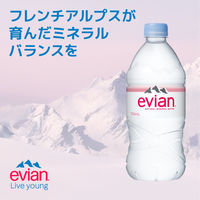 evian(エビアン) 伊藤園 750ml 1箱（12本入）【正規輸入品】【硬水】【ミネラルウォーター】
