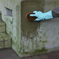 エクステリア 藻・コケ・カビ落し 500mL 1個 日本ミラコン産業