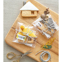 テプラ TEPRA Liteテープ 幅11mm フォレスト（黒文字） TPT11-002 1個 キングジム