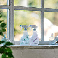 トイレマジックリン ツヤツヤコートプラス komorebiデザイン 本体380mL シトラスミントの香り 1個 花王 限定