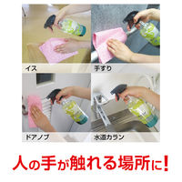 アルコール除菌剤ノロスター バッグインボックス詰替 20L 1個 ニイタカ