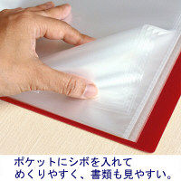 プラス　スーパーエコノミークリアーファイル+　固定式20ポケット　A4タテ　レッド　赤　30冊　FC-502EL