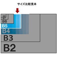 アスクル　カードケース　ハードタイプ　B5　20枚  オリジナル