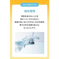 サントリー なっちゃんオレンジ 160g 1セット（60缶）