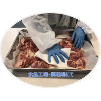 【不織布ウエス】 大王製紙 エリエールプロワイプストロングタオルE50ホワイトポリ包装50 1ケース（50枚入×18パック）