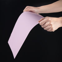 アスクル　カラークリアーホルダー　A4　100枚　不透明タイプ　ピンク　ファイル  オリジナル