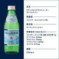 モトックス サンペレグリノ 250ml 1セット（48本）