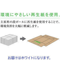 ゼネラル　文書保存箱　イージーキャビネット　引き出しタイプ　ホワイト　 A4用　 1セット（5枚：1枚×5）
