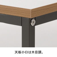 【軒先渡し】アスプルンド ESシリーズ ワーキングデスク 幅1200×奥行600mm 273457 （直送品）