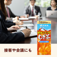 伊藤園 健康ミネラルむぎ茶（紙パック）250ml 1セット（48本）【麦茶】