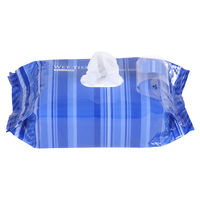 ウェットティッシュ　除菌シート　アルコールタイプ　アルコール除菌　詰め替え　1箱（100枚×24個入）