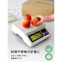 【デジタルはかり】 ドリテック プロスケール5kg GS-500GY 1台