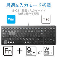 キーボード 有線 薄型 コンパクトサイズ パンタグラフ ブラック TK-FCP097BK 1個（直送品）