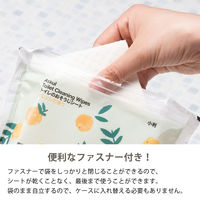 大王製紙 トイレのおそうじシート 小判 オレンジの香り 1箱（24個入）【そのまま使えるファスナー付き】 オリジナル