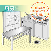 ニイタカ パイプクリーナーL 5.5kg  排水口用洗剤 232630 　1箱（3本入）