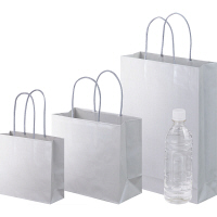 手提げ紙袋　丸紐　ブライトーンパールタイプ　パールグレー　M　1袋（10枚入）　スーパーバッグ  オリジナル