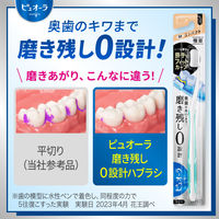 ピュオーラ ハブラシ コンパクト ふつう 1本 花王 歯ブラシ