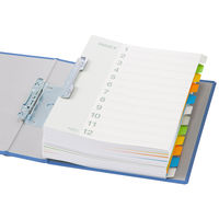 アスクル　カラーインデックス　A4タテ　インデックスシート　2穴　12山　5組  オリジナル