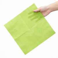 溝端紙工印刷　カラーナプキン　4つ折り　2PLY　グリーンティー　1袋（50枚入）  オリジナル