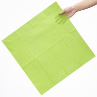 溝端紙工印刷 カラーナプキン 8つ折り 2PLY グリーンティー 1袋（50枚入）