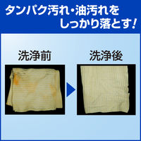 BIC（ビック） 洗濯用粉末洗剤 ダスターウォッシュ 無香料 業務用 10kg 花王