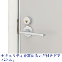 【軒先渡し】サンテック　CFパネル ドア（右開き） 高さ1869mm用 CF-D0919R（直送品）