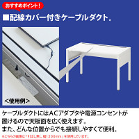 イトーキ（ITOKI） サリダLFデスク　平机　引出し無し　ホワイト 幅1200×奥行700×高さ720mm 1台（2梱包）