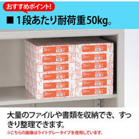 【組立設置込】Ceha A4スチール書庫 抗菌 2段 ガラス引違い 上置き用 ホワイト 幅880×奥行400×高さ730mm 1台