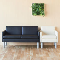 アール・エフ・ヤマカワ コンパクトソファ 1人掛 ブラック RFESF2-1BK 1脚