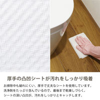 大王製紙 トイレのおそうじシート オレンジの香り 詰替用 1箱（24個入）（寄付金付き） オリジナル