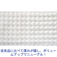 トイレクリーナー　小判・薄手タイプ　ミントの香り　1箱（24枚入×24個）