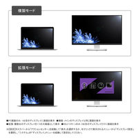 Vodaview　変換アダプタ　DisplayPort[オス]→VGA（D-sub15ピン）[メス]　0.15m/ブラック　VV-DPVGA-DO
